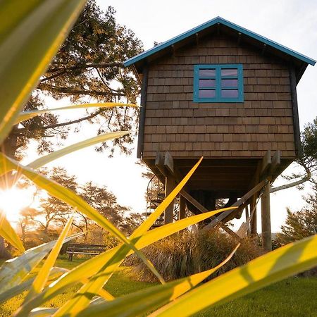Tui Ridge Eco Cabins Aongatete Exteriér fotografie