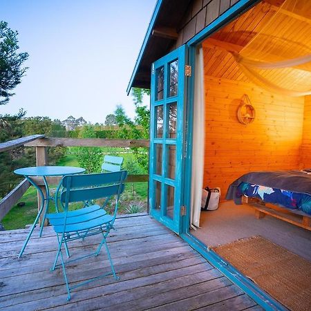 Tui Ridge Eco Cabins Aongatete Exteriér fotografie