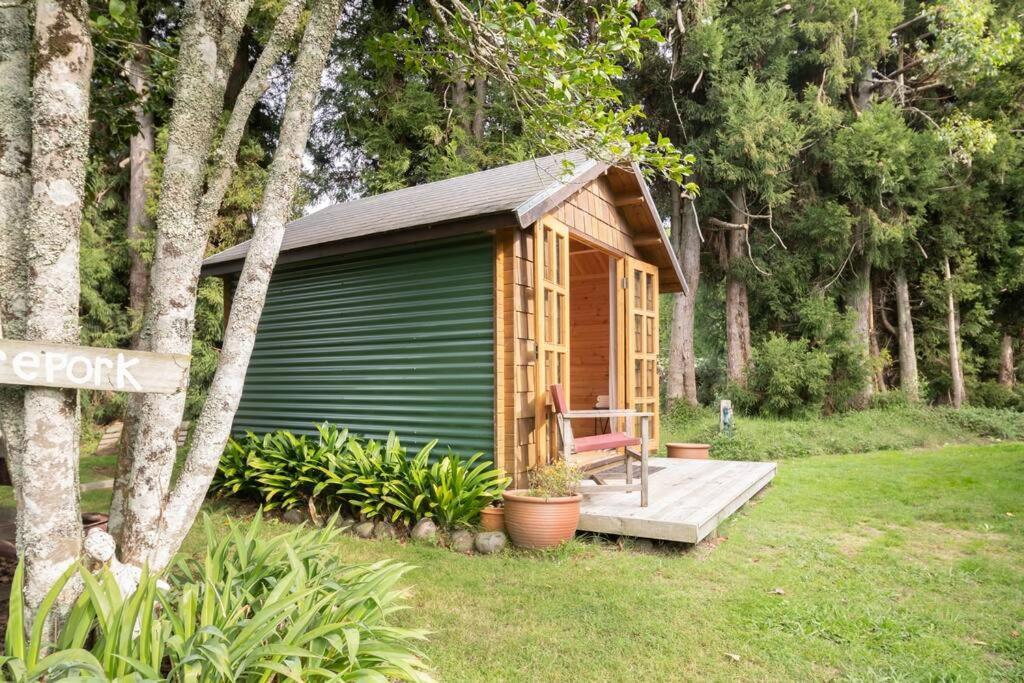 Tui Ridge Eco Cabins Aongatete Exteriér fotografie