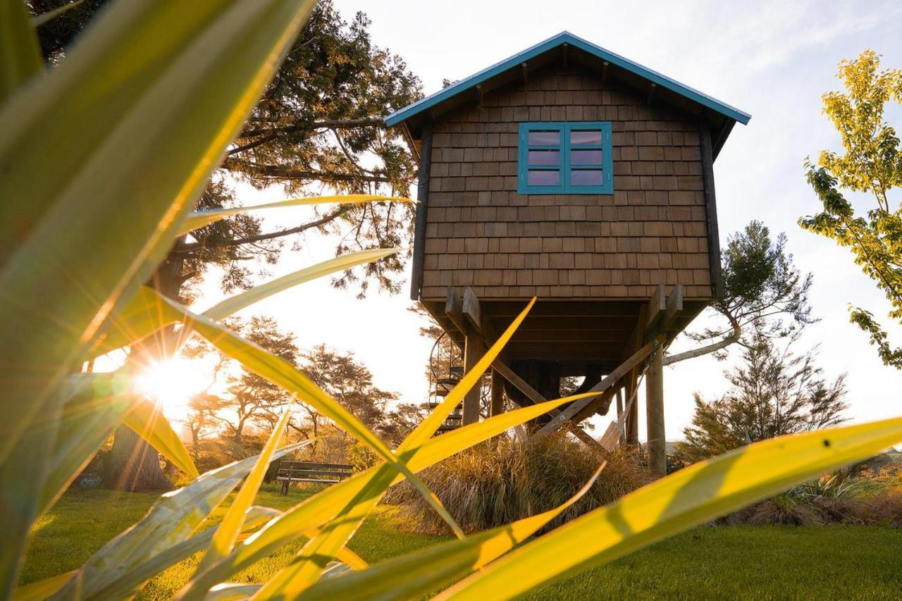 Tui Ridge Eco Cabins Aongatete Exteriér fotografie