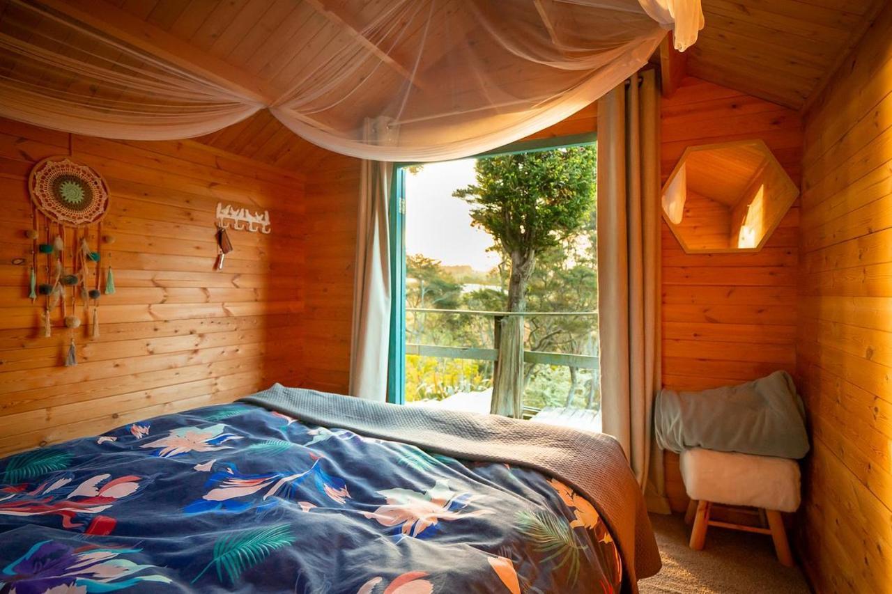 Tui Ridge Eco Cabins Aongatete Exteriér fotografie
