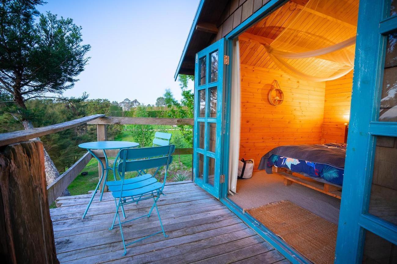 Tui Ridge Eco Cabins Aongatete Exteriér fotografie