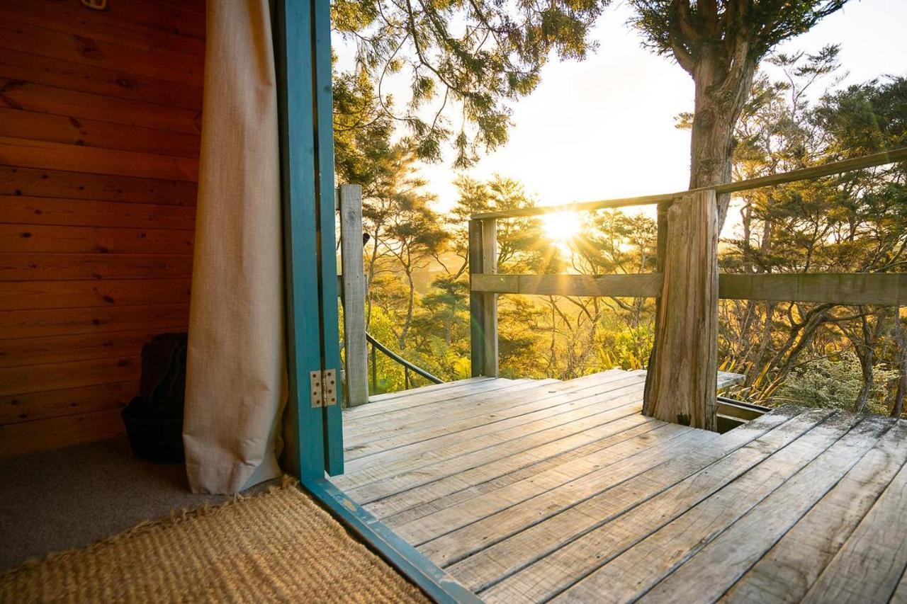 Tui Ridge Eco Cabins Aongatete Exteriér fotografie