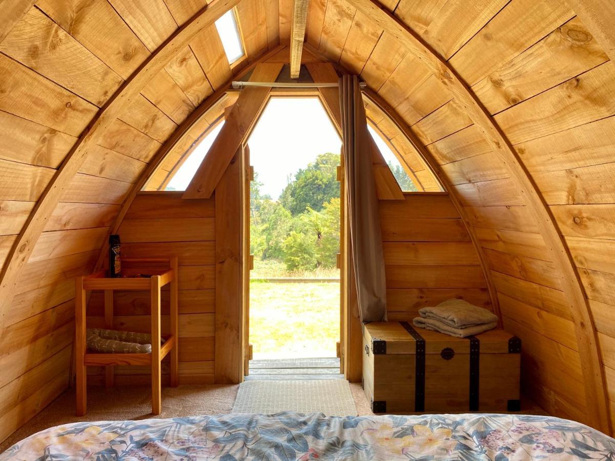 Tui Ridge Eco Cabins Aongatete Exteriér fotografie