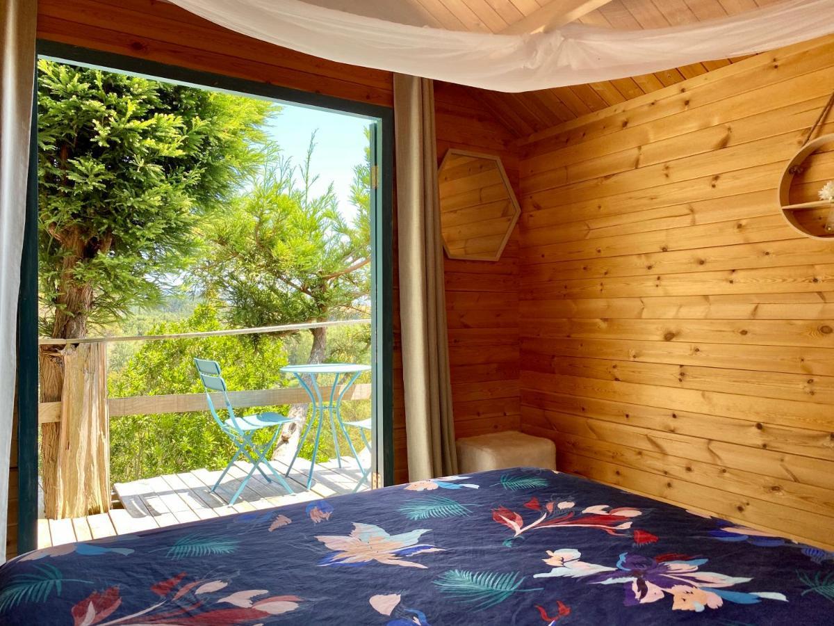 Tui Ridge Eco Cabins Aongatete Exteriér fotografie